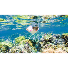 3D2N Perhentian Islands Nature Explore Ex-Kuala Besut Jetty